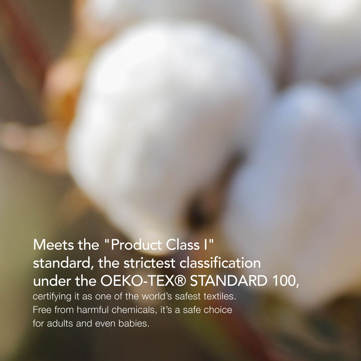 SEKKISEI BLUE Cotton Pads