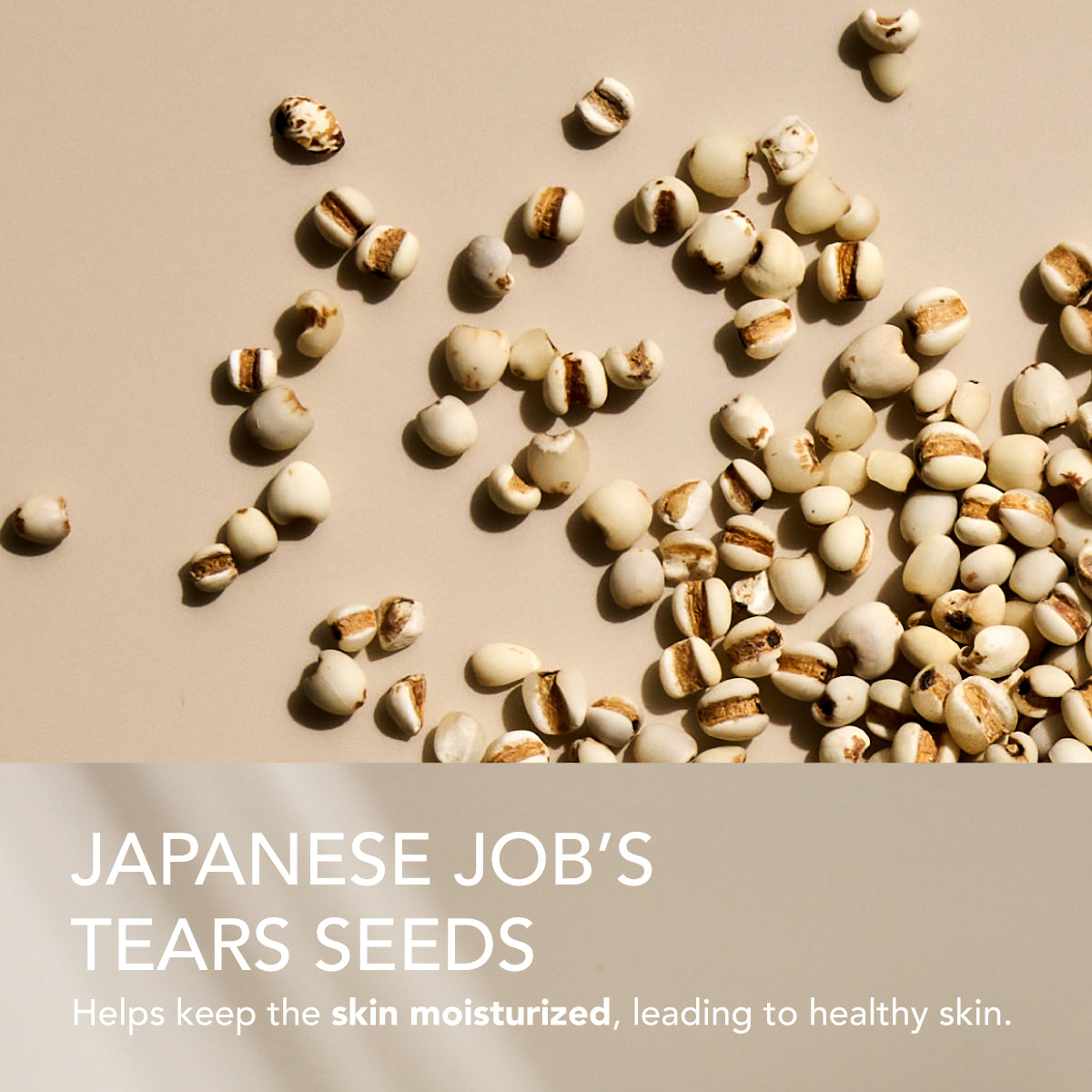 SEKKISEI LICORICE BRIGHTENING REFINER SERUM