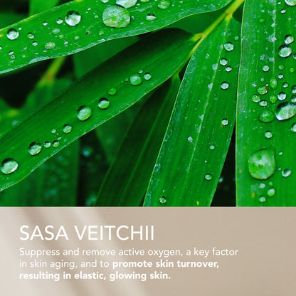 SEKKISEI BLUE Charcoal Scrub Cleanser