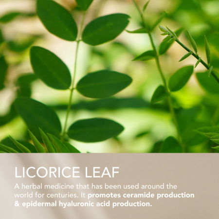 SEKKISEI BLUE Instant Deep Hydration Essence