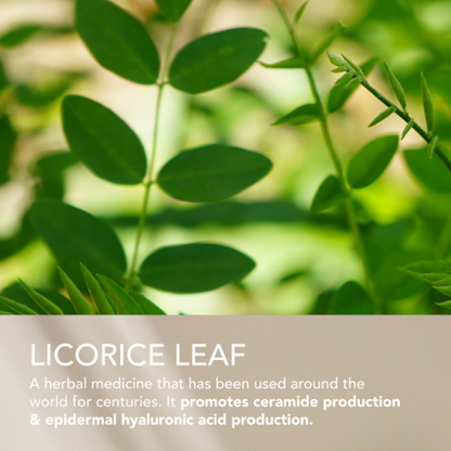 SEKKISEI BLUE Instant Deep Hydration Essence