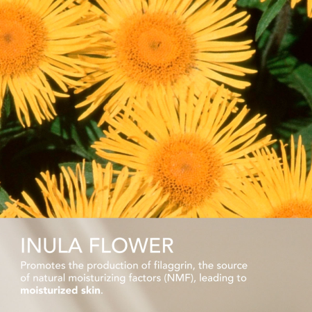 SEKKISEI BLUE Instant Deep Hydration Essence