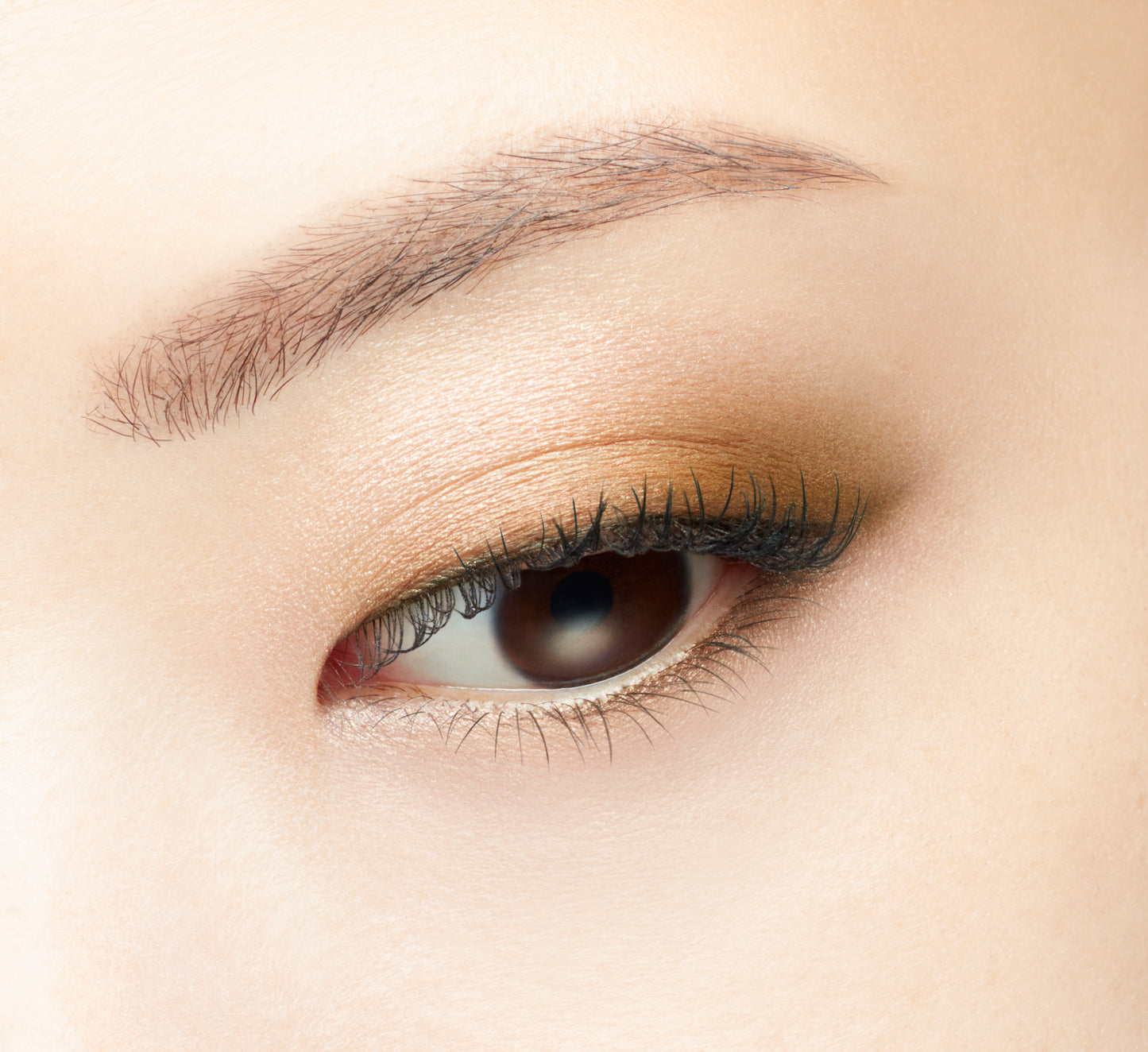 VISÉE GLOSSY RICH EYES N