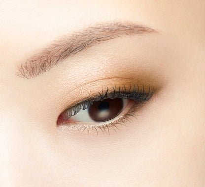 VISÉE GLOSSY RICH EYES N