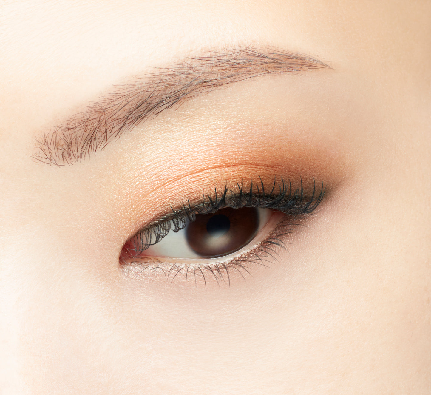 VISÉE GLOSSY RICH EYES N