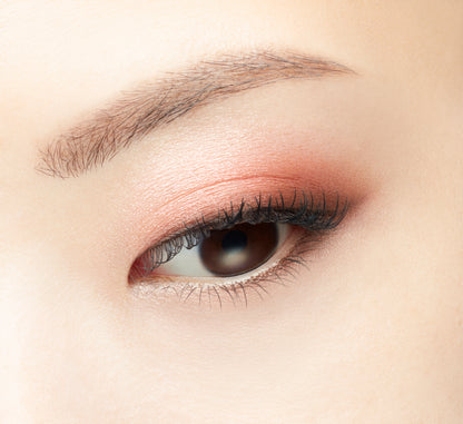 VISÉE GLOSSY RICH EYES N